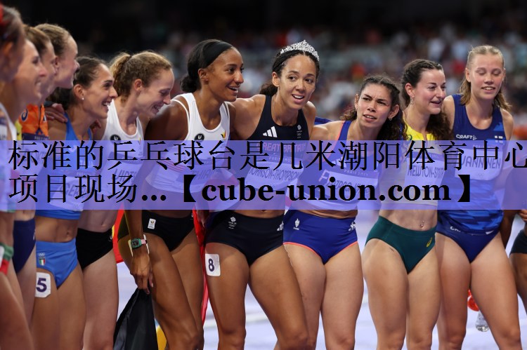 标准的乒乓球台是几米潮阳体育中心项目现场…