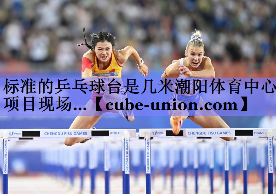 标准的乒乓球台是几米潮阳体育中心项目现场…