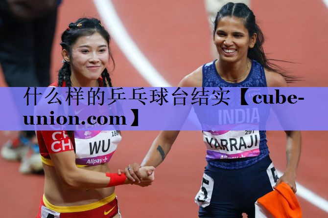 什么样的乒乓球台结实