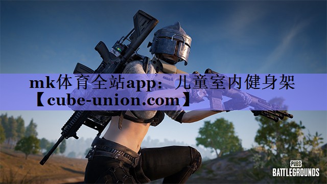 mk体育全站app：儿童室内健身架