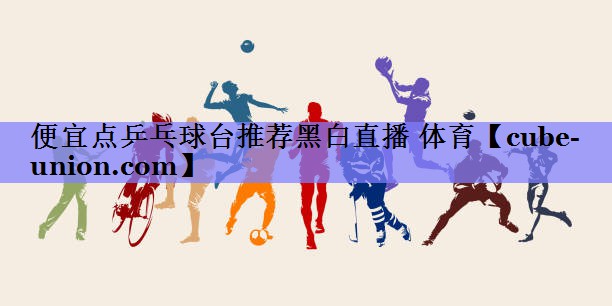 便宜点乒乓球台推荐黑白直播 体育