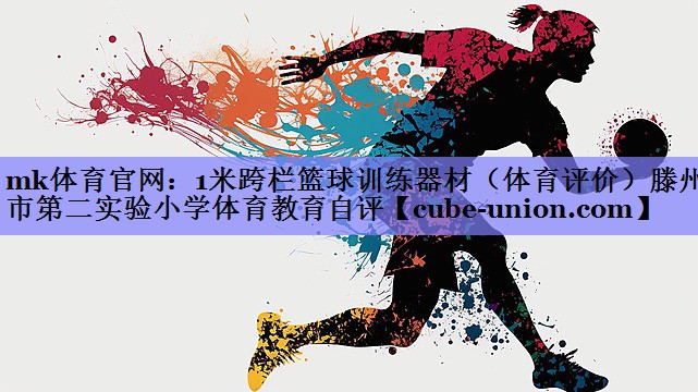 1米跨栏篮球训练器材（体育评价）滕州市第二实验小学体育教育自评